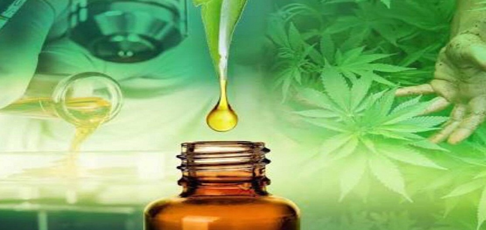Besoin de CBD ? Découvrez 1001herbes.com !