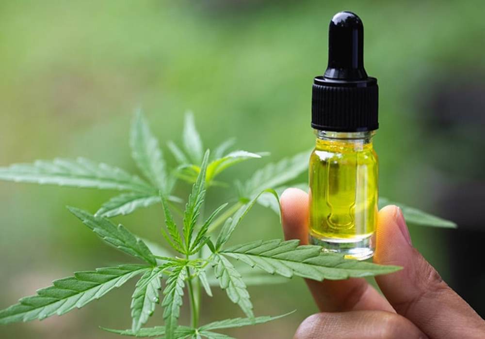 Découvrez l’huile de CBD concentrée à 20%